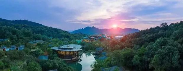 舟山航空文旅新篇章 保利航空小鎮(zhèn)開元森泊度假樂園成功簽約，擘畫海島旅游新藍(lán)圖